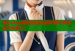 糖心vlog线路检测全流程详解与实用技巧分享(1)